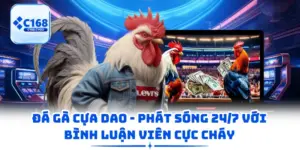 Đá Gà Cựa Dao - Phát Sóng 24/7 Với Bình Luận Viên Cực Cháy