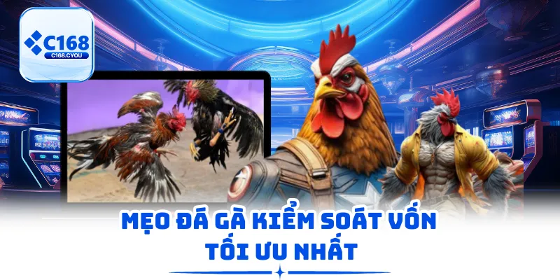 Mẹo đá gà kiểm soát vốn tối ưu nhất